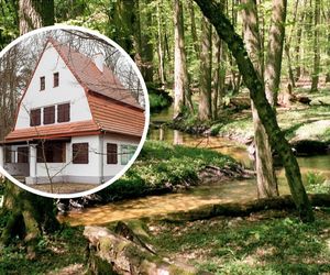 Ta gmina jest w TOP 5 najbogatszych w Kujawsko-Pomorskiem. Tu znajduje się najstarszy rezerwat na ziemi chełmińskiej!