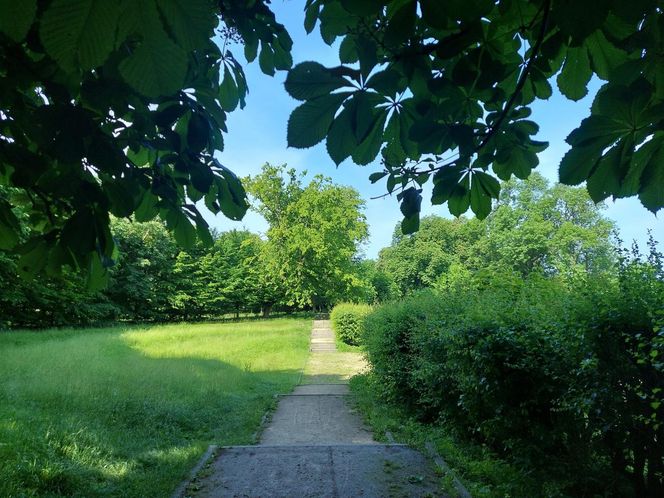 Park Miejski w Zamościu