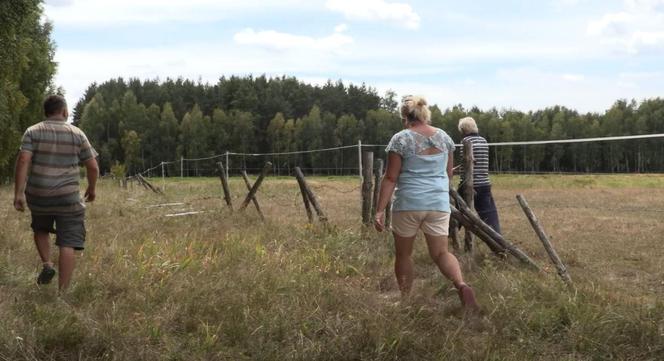 Rolnicy. Podlasie. Andrzej szuka koni, które uciekły z pastwiska