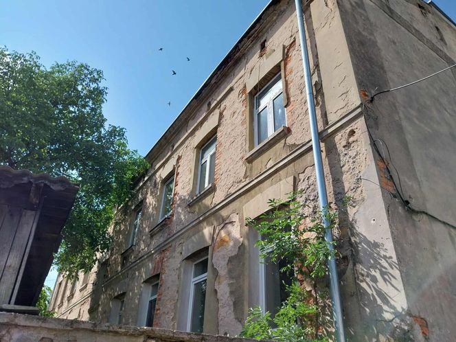 Kamienica Giepardów w Starachowicach