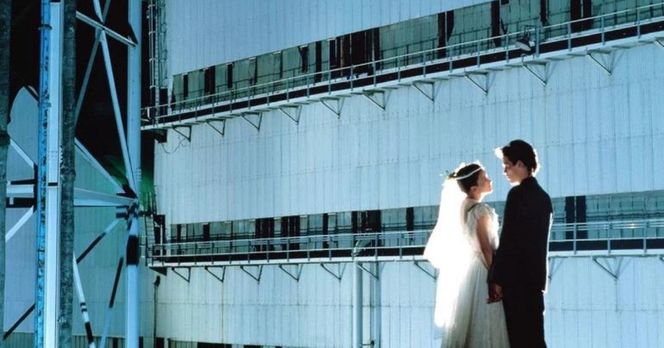 Sprawdź w galerii >>> 