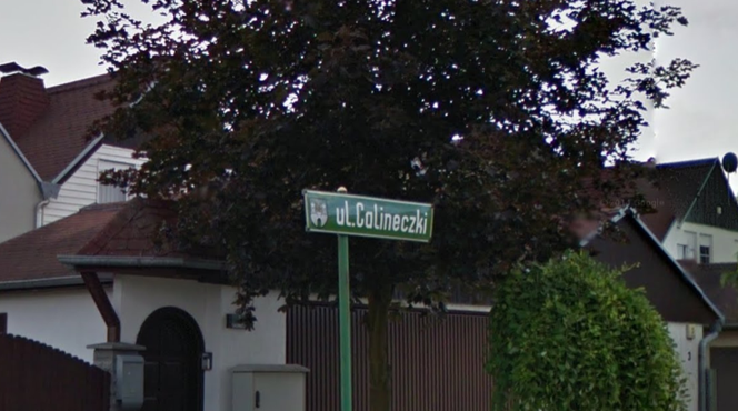 Calineczki