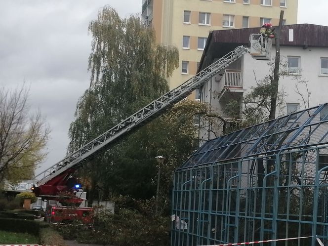 Wichura w Poznaniu. W regionie dwa tysiące interwencji strażaków