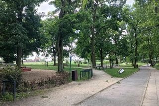 Próba zabójstwa w toruńskim parku. Zapytaliśmy mieszkańców o ich poczucie bezpieczeństwa