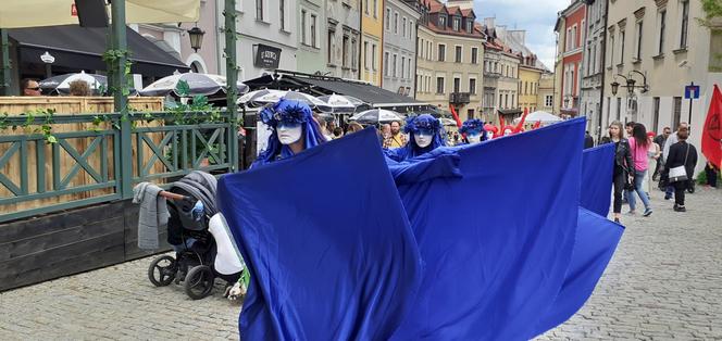 Wdowy milcząco przeszły przez Lublin. Był to protest przeciwko budowie kopani węgla przy Poleskim Parku Narodowym