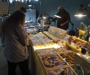 Giełda Minerałów, Biżuterii i Skamieniałości Geo Expo 2023 w Bydgoszczy. Tłumy w SISU Arenie [ZDJĘCIA]