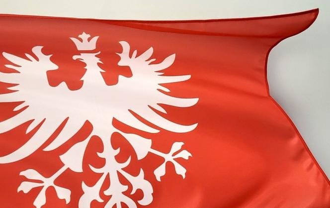 100 flag Powstania Wielkopolskiego dla pilan