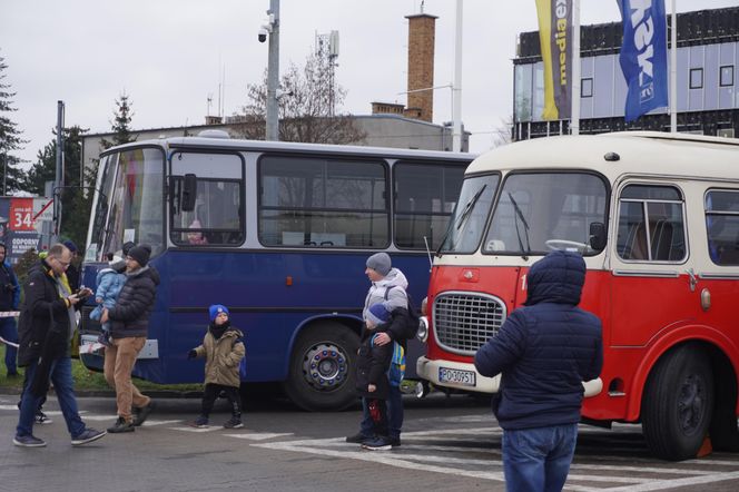 Katarzynki 2024 - wystawa autobusów przy Galerii Panorama