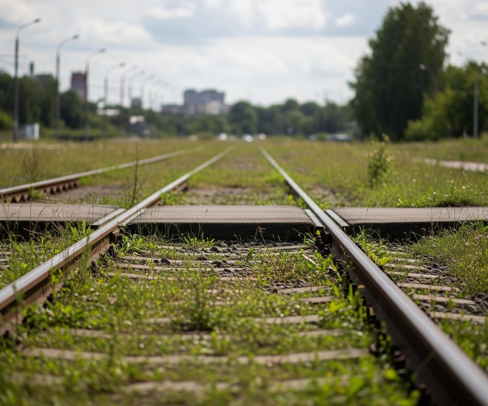 Na pierwszym planie widoczne są dwa tory kolejowe, ciągnące się w głąb obrazu, gdzie stają się rozmyte i zanikają. Tory przechodzą przez trawiaste pobocze, porośnięte bujną, zieloną roślinnością, która miejscami zakrywa szyny i podkłady. W centralnej części torów znajduje się betonowe przejście, przecinające oba tory prostopadle. W tle, pod pochmurnym niebem, rysują się niewyraźne sylwetki budynków i drzew, a także rzędy lamp ulicznych, rozciągające się wzdłuż torowiska.