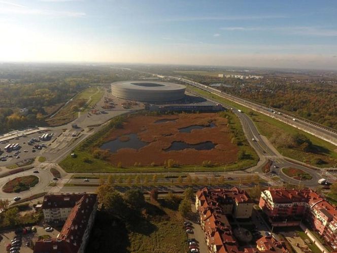 Wrocław. Miasto ma plany wobec "dziury Solorza". Hala widowiskowo-sportowa zamiast siedliska żab [ZDJĘCIA]. 