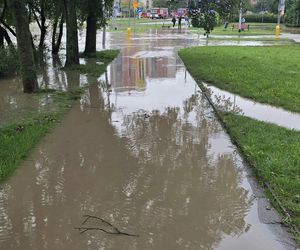 W Elblągu wylała rzeka. Wprowadzono stan pogotowia przeciwpowodziowego. „Każdy z nas się boi”