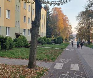 Brak parkingu i ścieżka rowerowa tuż przed blokiem! Problemy mieszkańców Żeromskiego w Starachowicach [ZDJĘCIA] 