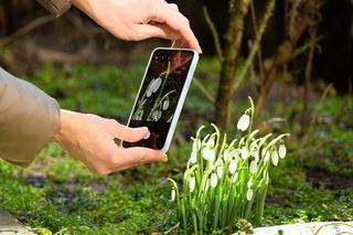 Te rośliny sadź w ogrodzie jesienią! Dzięki temu zamienisz szary i przekwitły ogród w bajeczną krainę. Kwiaty, które można sadzić we wrześniu 