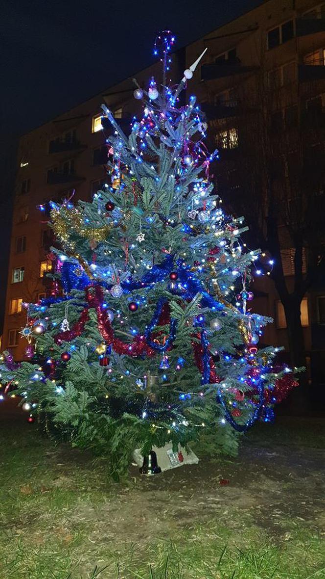 Katowice: Spółdzielnia wycięła im jedyną choinkę na osiedlu. Sami kupili nową jodłę