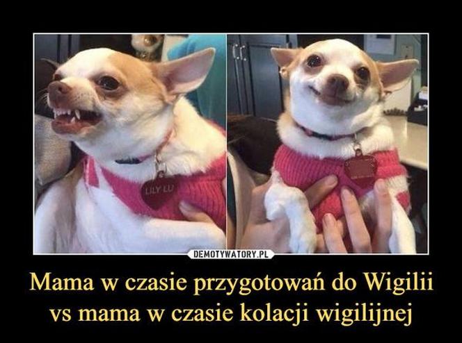 Najlepsze memy o świętach. Te obrazki rozbawią Cię do łez! Tak wygląda Boże Narodzenie oczami internautów [TOP 75]