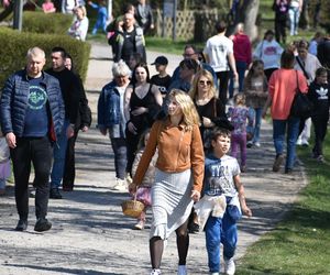 Miasto Piła