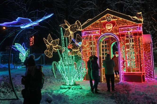 Park Miliona Świateł 2024 w Zakopanem