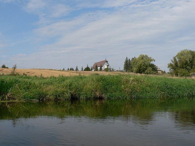 Bokiny na Podlasiu