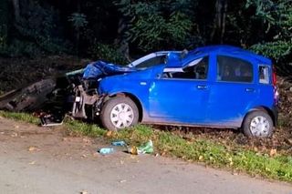 Wypadek w Podebłociu. Auto zderzyło się z łosiem