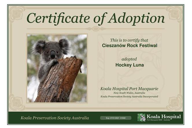 ADOPCJA KOALI