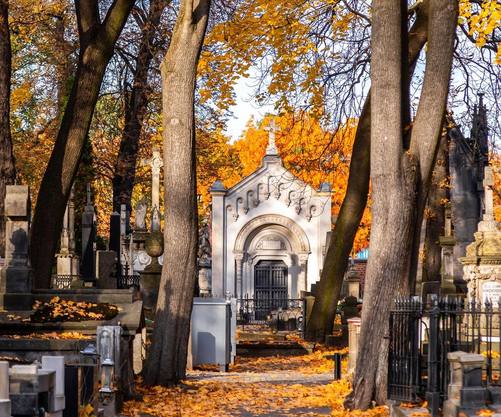 Stare Powązki. Groby architektów