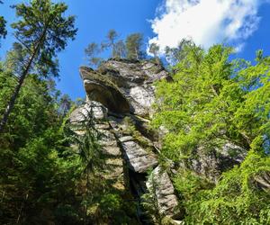 Czeska Szwajcaria - Opowieści z Narnii kręcono pół godziny drogi od Polski.