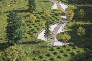 Kielce zyskają nowy park! Dotąd rosły tam... samosiejki