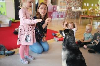 Dogoterapia w Łodzi