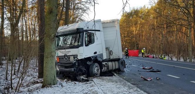 Makabryczny wypadek pod Obornikami! Są dwie ofiary śmiertelne 