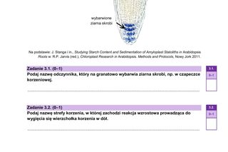 Matura 2025 - biologia