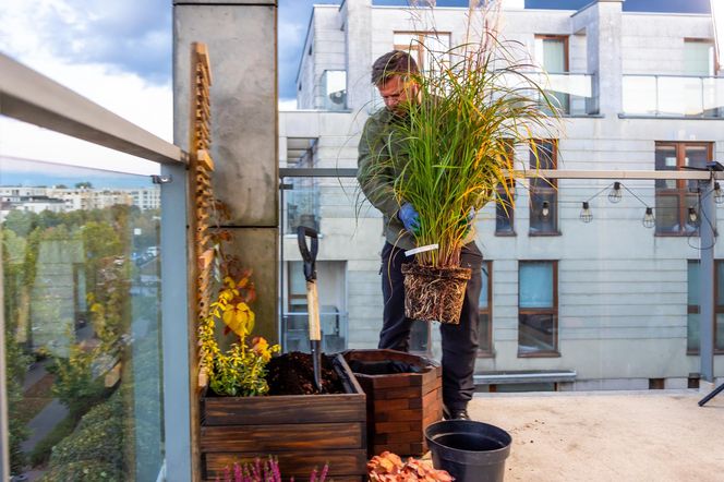 Jesienna metamorfoza balkonu