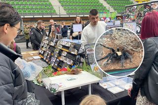 Zooegzotyka w hali CRS w Zielonej Górze. Tłumy podziwiały niezwykłe okazy zwierząt