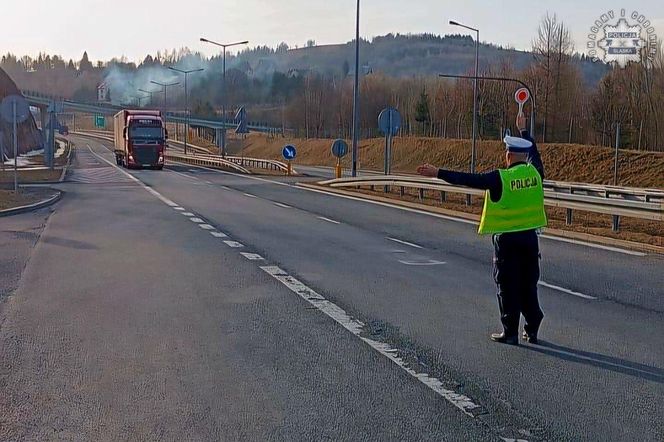 Kontrole na granicach z Czechami i Słowacją. Atakuje pryszczyca