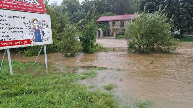 Jelenia Góra zalana. Pod wodą jest już 30 domostw, wiele dróg jest nieprzejezdnych 