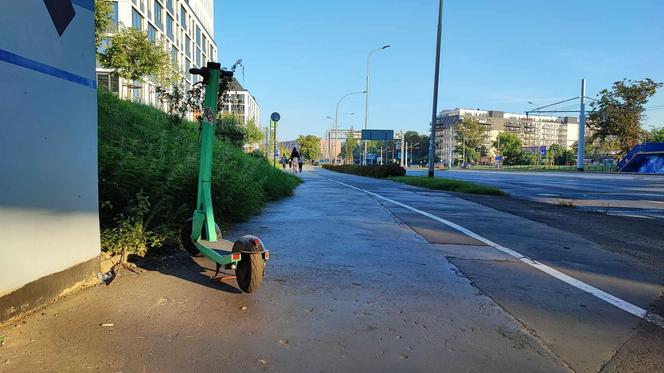 Czy Wrocław zakaże jazdy hulajnogami? Strażnicy usunęli już ponad 400 pojazdów 