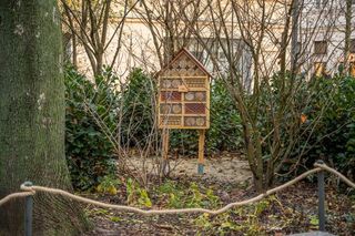 Odmieniona ulica Chmielna