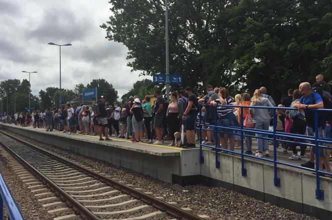 Tłum pasażerów w pociągu do Helu