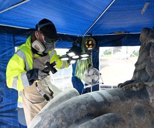 Renowacja koszalińskich lwów