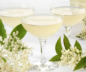 Domowy szampan z kwiatów czarnego bzu – musujący eliksir o niezwykłym aromacie