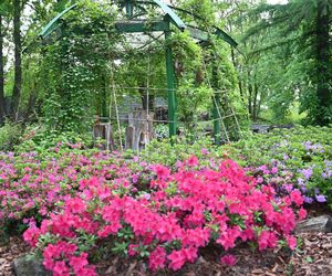 Arboretum w Bolestraszycach 