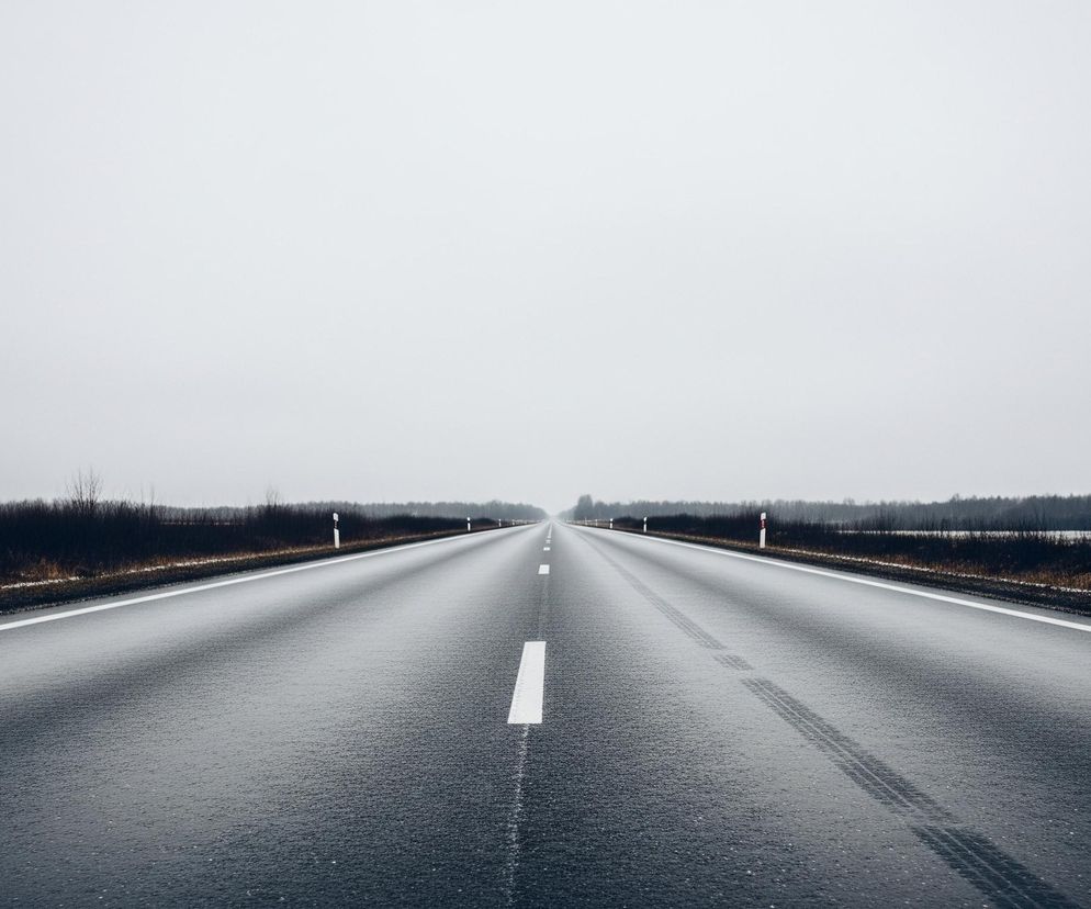 Szeroka, asfaltowa droga biegnie prosto w dal, zajmując centralną część kadru. Jej ciemna, mokra powierzchnia odbija blade, szare niebo, które stanowi górną połowę obrazu. Po obu stronach drogi rozciągają się pasy ciemnej roślinności, w tle widoczny jest las. Na poboczach drogi, wzdłuż białych linii krawędziowych, rozmieszczone są słupki odblaskowe. Na prawej jezdni widoczne są ślady opon.