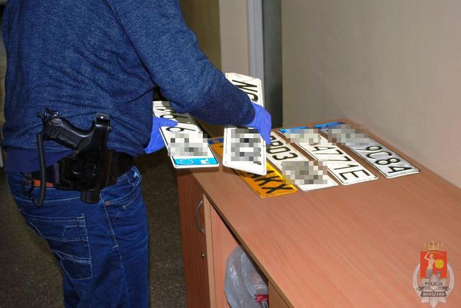 Policjanci wyciągnęli Małpę z dziupli