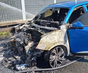 Pożar auta na A1. 4 osoby i kot ewakuowani