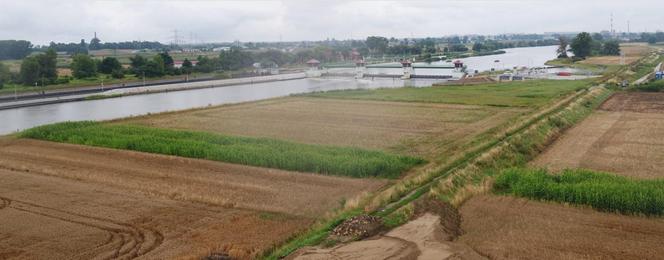 Polder Żelazna w Opolu