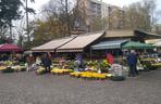Takie kwiaty i znicze można kupić przy wrocławskich cmentarzach