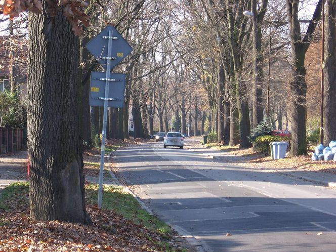 Prośba o galerię - dzielnica Biskupin-Sępolno-Dąbie-Bartoszowice