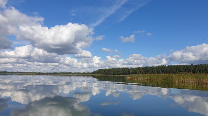 Wigierski Park Narodowy. To bezcenny obszar podlaskiej natury