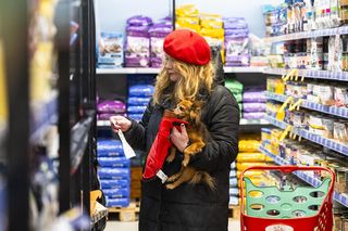 Nie może dopasować ubranka dla psa