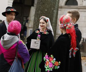 Gwiazdy kwestują na Starych Powązkach