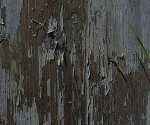 Przy remoncie Domu Ludowego odkryto cerkiew